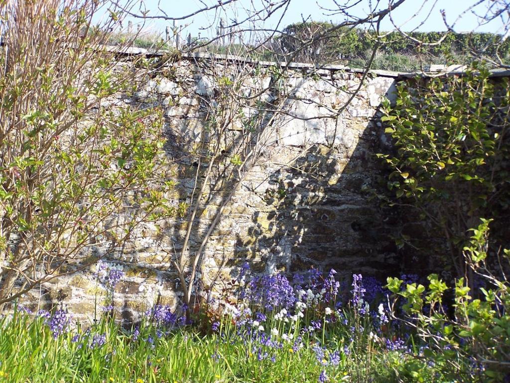 The Old Parsonage Bed and Breakfast Boscastle Buitenkant foto