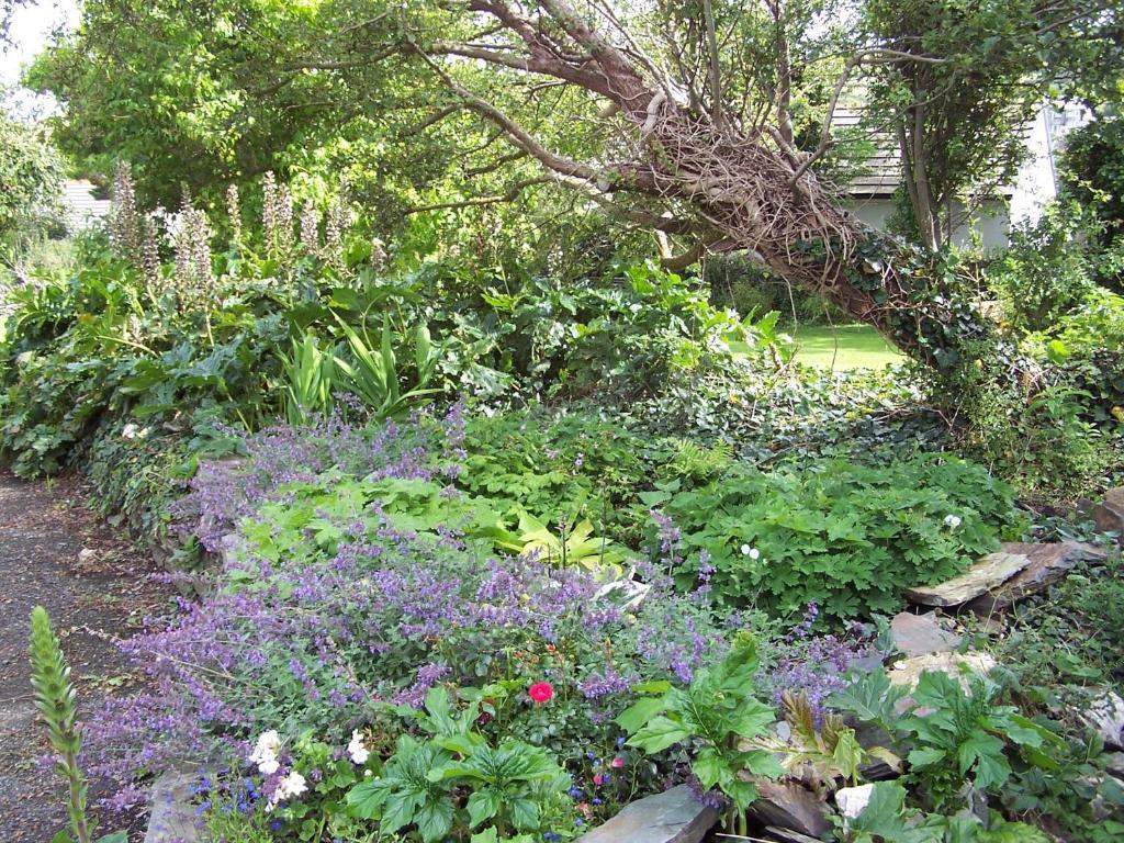 The Old Parsonage Bed and Breakfast Boscastle Buitenkant foto