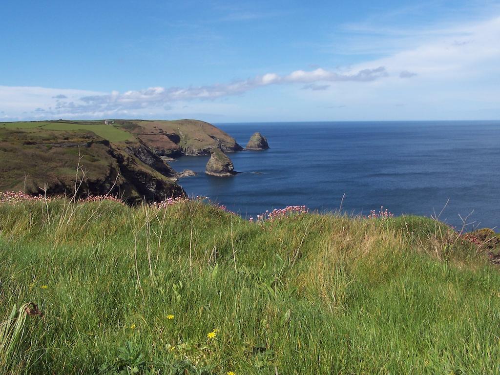 The Old Parsonage Bed and Breakfast Boscastle Buitenkant foto