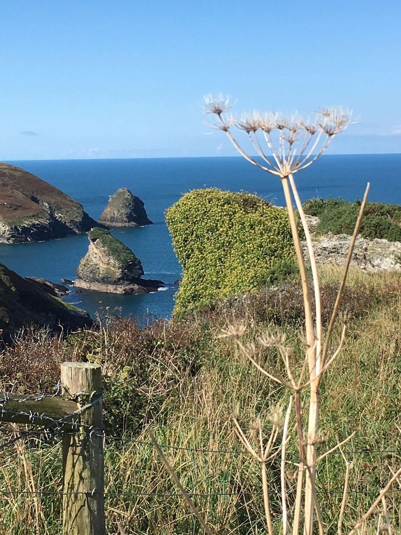 The Old Parsonage Bed and Breakfast Boscastle Buitenkant foto